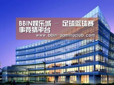 案例展示五