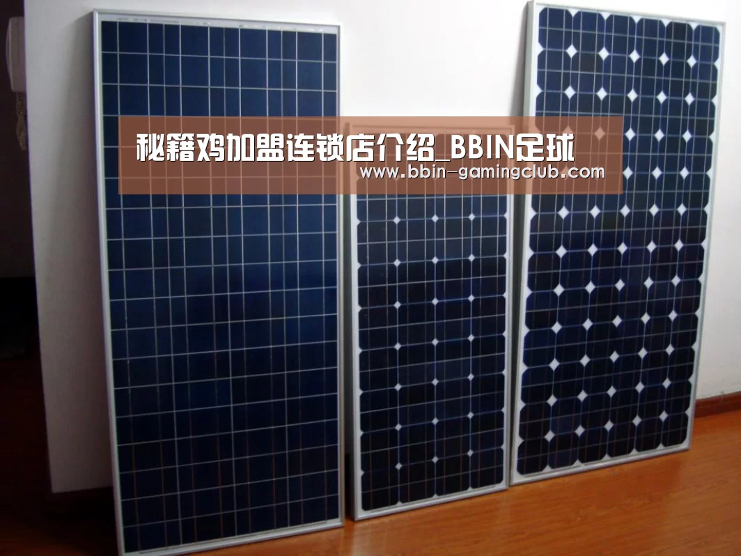 秘籍鸡加盟连锁店介绍_BBIN足球(图3) BBIN电竞