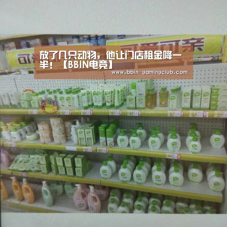 放了几只动物,他让门店租金降一半!【BBIN电竞】(图1) BBIN足球