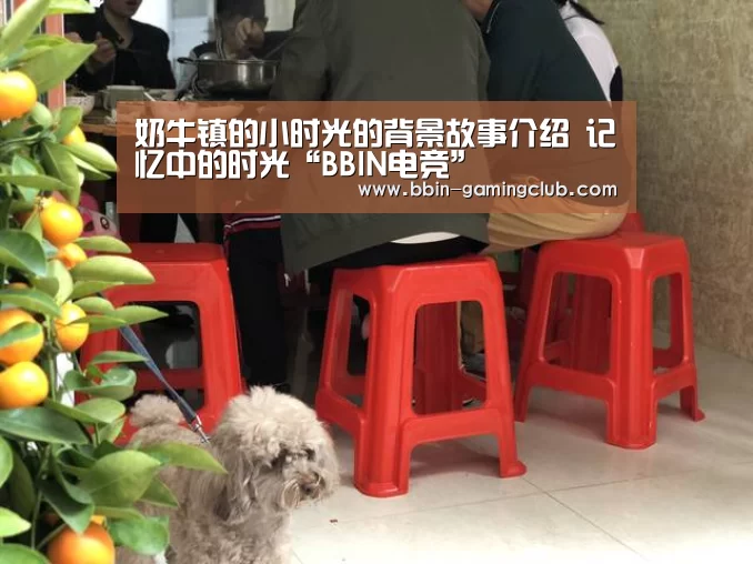 奶牛镇的小时光的背景故事介绍 记忆中的时光“BBIN电竞”(图2) BBIN体育