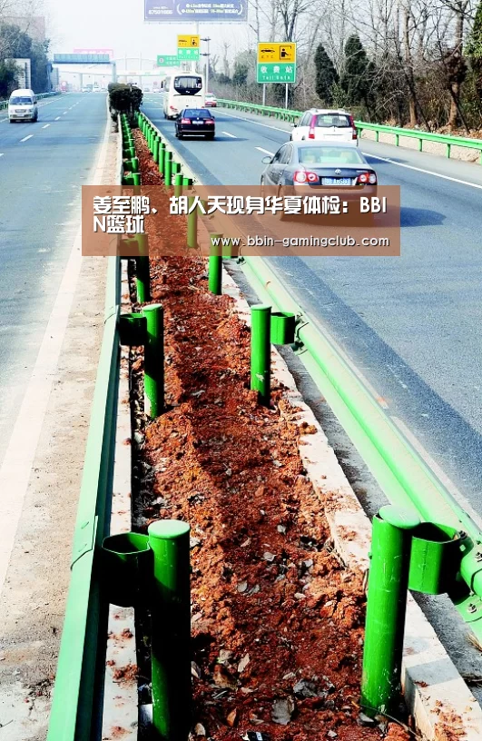 BBIN体育