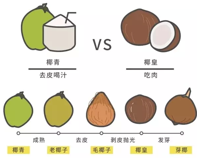BBIN电竞