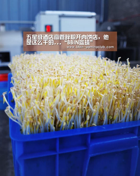 五星级酒店高管辞职开肉饼店,他是这么干的...“BBIN篮球”(图4) BBIN足球