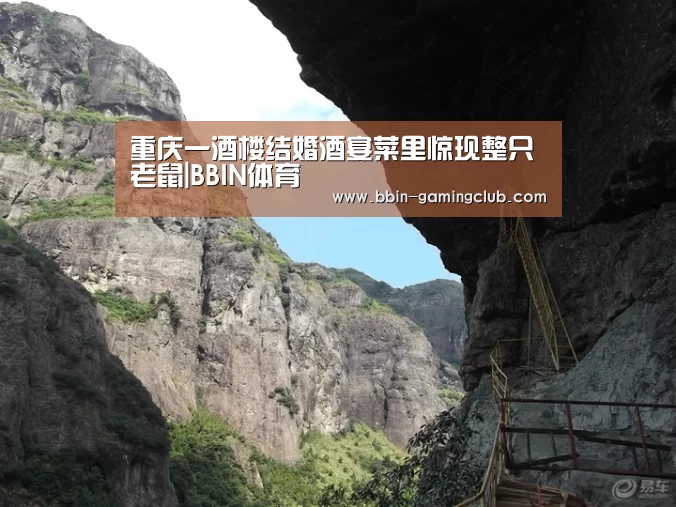 重庆一酒楼结婚酒宴菜里惊现整只老鼠|BBIN体育(图2) BBIN体育