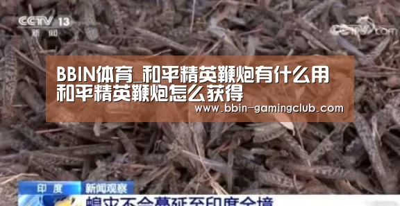 BBIN体育_和平精英鞭炮有什么用 和平精英鞭炮怎么获得(图1) BBIN篮球