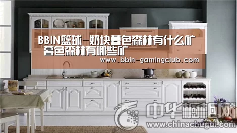 BBIN篮球-奶块暮色森林有什么矿 暮色森林有哪些矿(图2) BBIN足球