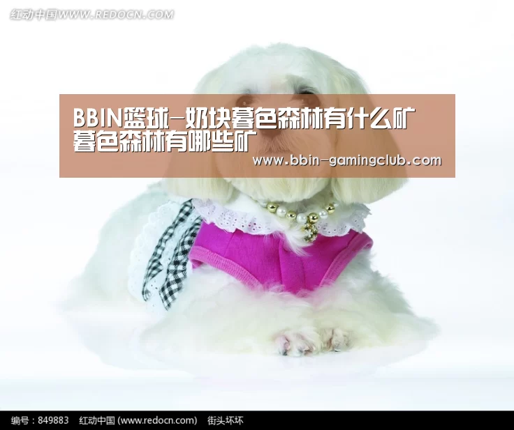 BBIN篮球-奶块暮色森林有什么矿 暮色森林有哪些矿(图3) BBIN体育